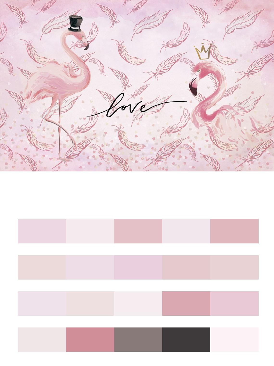 Розовые фламинго цвета